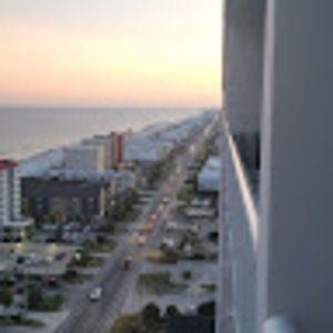 Meet your Posher, Jackson